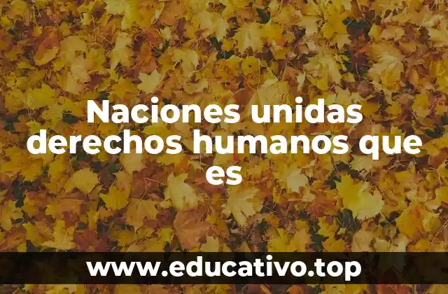 Naciones unidas derechos humanos que es