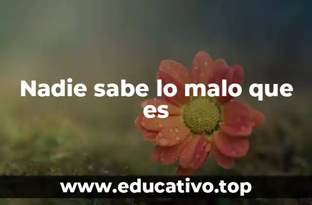Nadie sabe lo malo que es