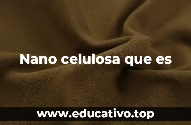 Nano celulosa que es