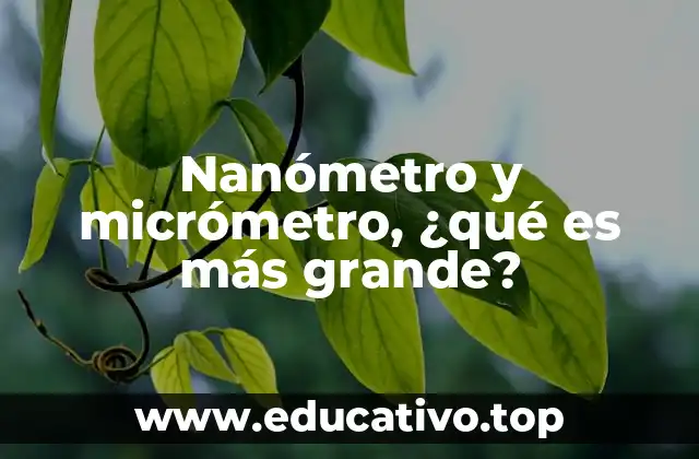 Nanómetro y micrómetro, ¿qué es más grande?