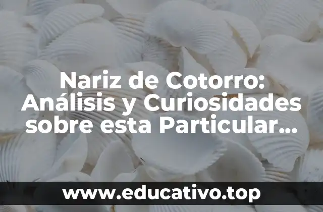 Nariz de Cotorro: Análisis y Curiosidades sobre esta Particular Formación Nasal