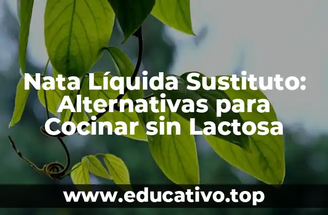 Nata Líquida Sustituto: Alternativas para Cocinar sin Lactosa