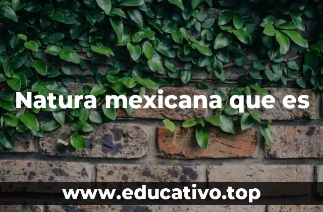 Natura mexicana que es