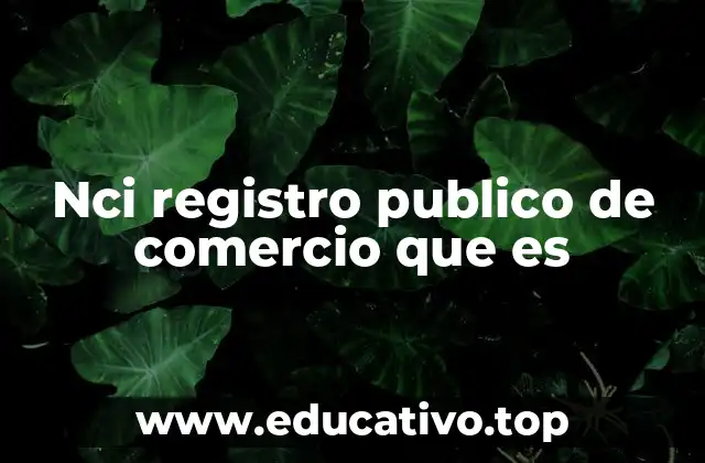 Nci registro publico de comercio que es