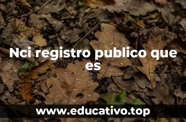 Nci registro publico que es