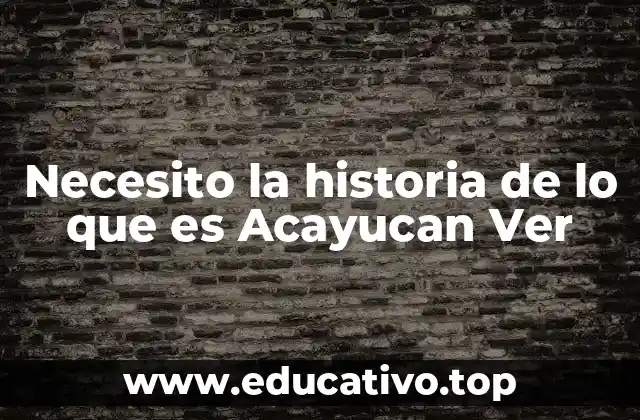 Necesito la historia de lo que es Acayucan Ver