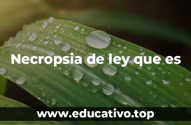 Necropsia de ley que es