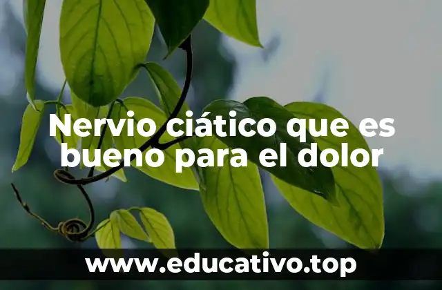 Nervio ciático que es bueno para el dolor