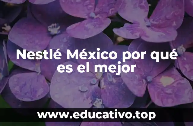 Nestlé México por qué es el mejor