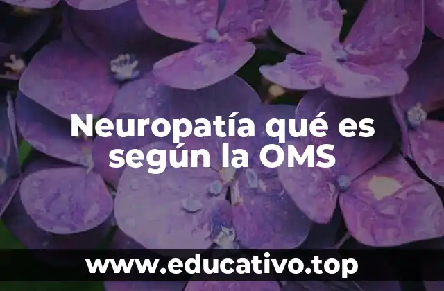 Neuropatía qué es según la OMS
