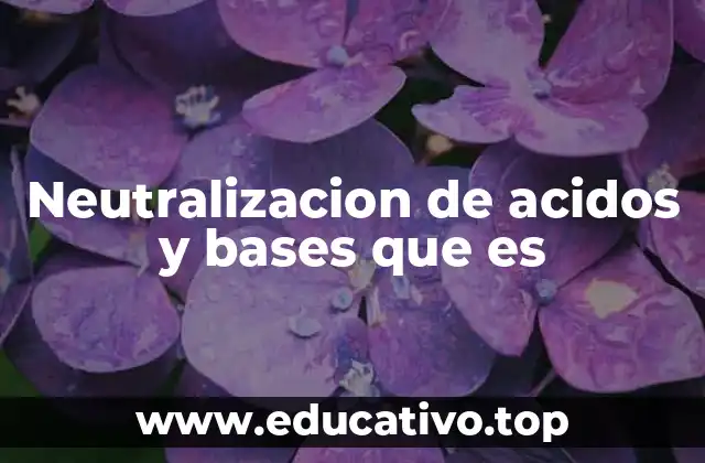 Neutralizacion de acidos y bases que es