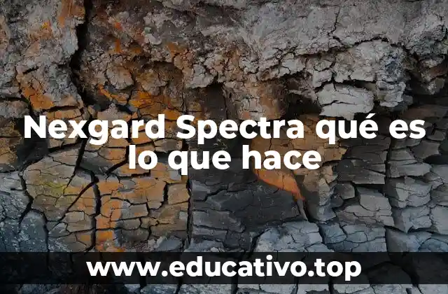 Nexgard Spectra qué es lo que hace