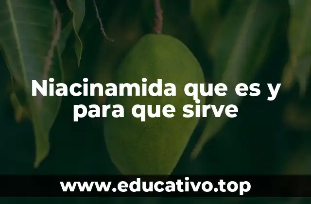 Niacinamida que es y para que sirve