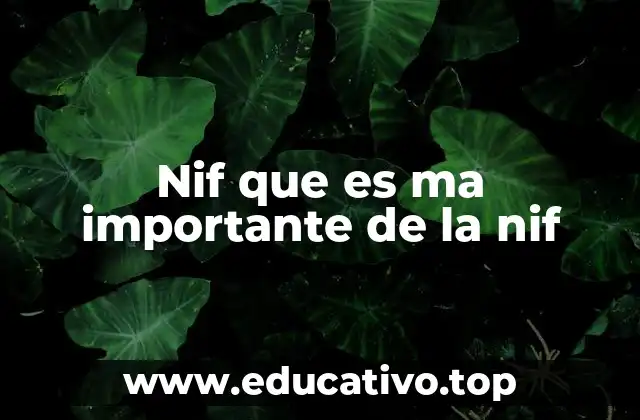 Nif que es ma importante de la nif