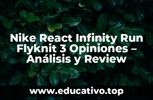 Nike React Infinity Run Flyknit 3 Opiniones – Análisis y Review