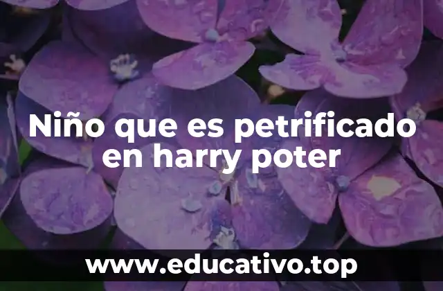Niño que es petrificado en harry poter
