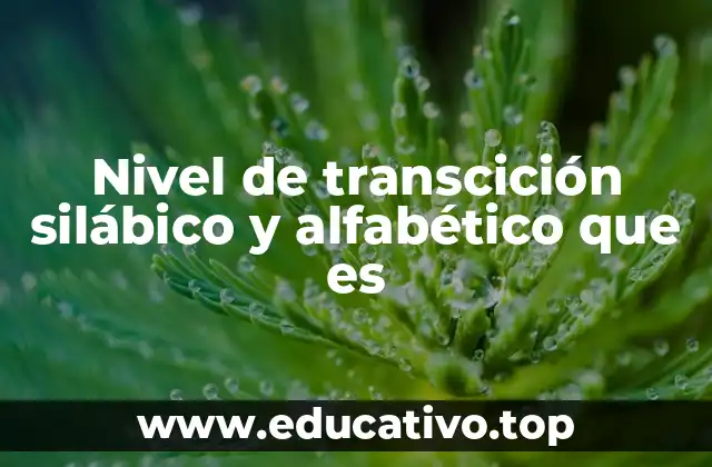 Nivel de transcición silábico y alfabético que es
