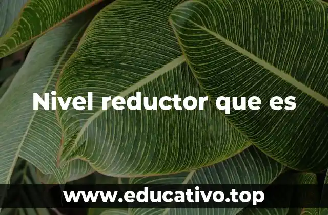 Nivel reductor que es