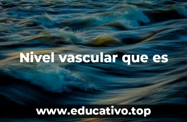 Nivel vascular que es