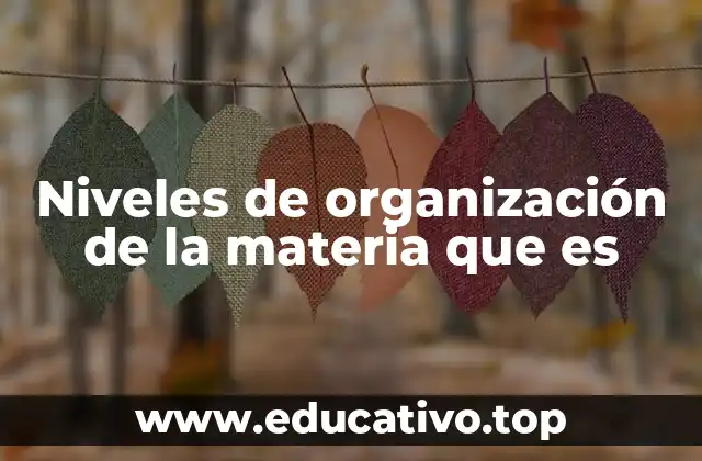 Niveles de organización de la materia que es