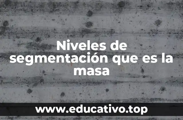 Niveles de segmentación que es la masa