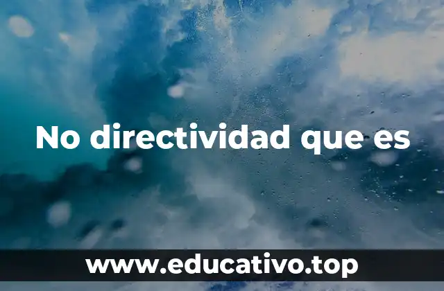 No directividad que es