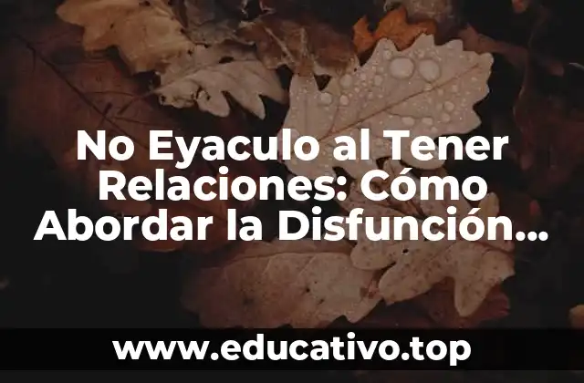 No Eyaculo al Tener Relaciones: Cómo Abordar la Disfunción Eréctil