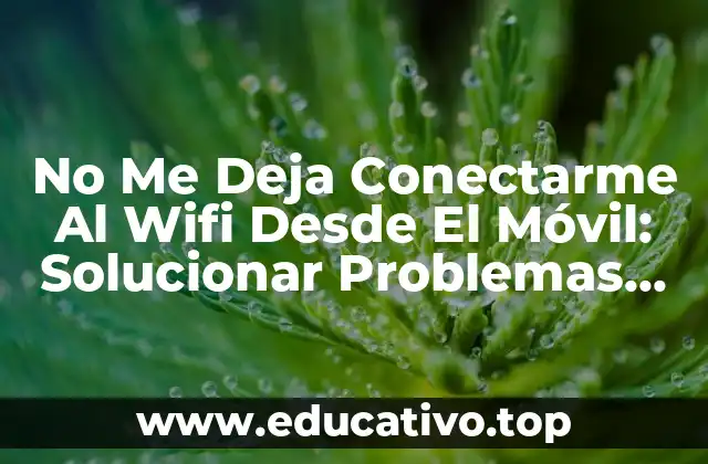 No Me Deja Conectarme Al Wifi Desde El Móvil: Solucionar Problemas De Conectividad