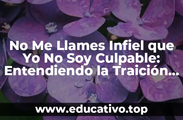 No Me Llames Infiel que Yo No Soy Culpable: Entendiendo la Traición en las Relaciones