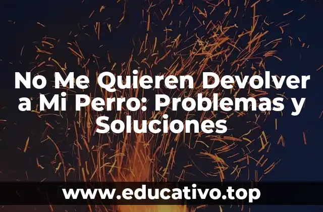 No Me Quieren Devolver a Mi Perro: Problemas y Soluciones