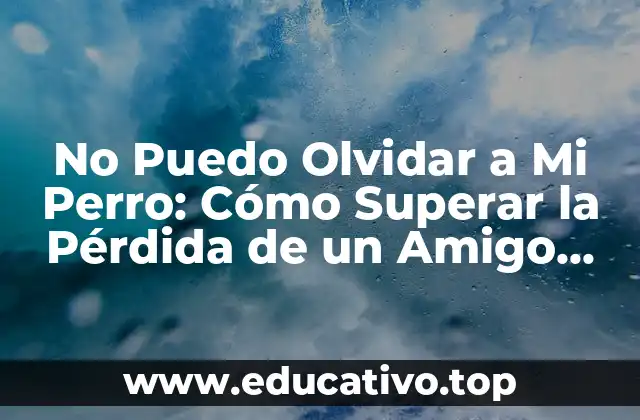 No Puedo Olvidar a Mi Perro: Cómo Superar la Pérdida de un Amigo Fiel