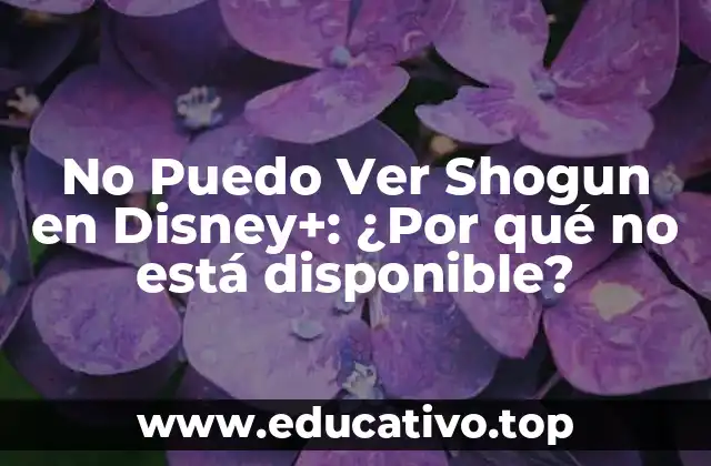 No Puedo Ver Shogun en Disney+: ¿Por qué no está disponible?