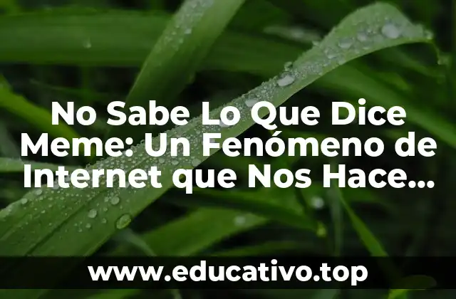 No Sabe Lo Que Dice Meme: Un Fenómeno de Internet que Nos Hace Reír