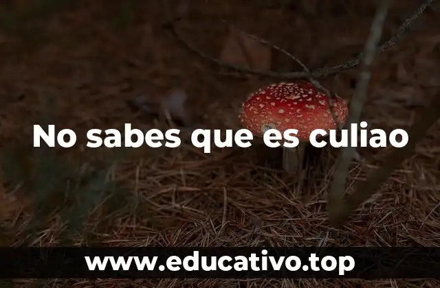 No sabes que es culiao