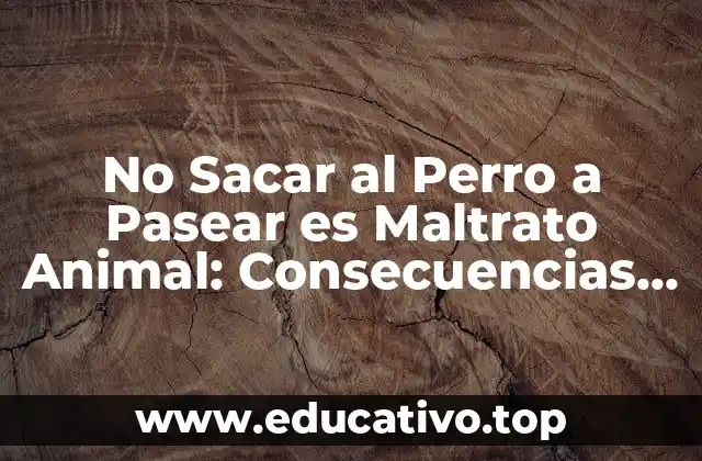 No Sacar al Perro a Pasear es Maltrato Animal: Consecuencias y Soluciones