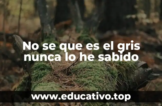 No se que es el gris nunca lo he sabido