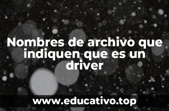 Nombres de archivo que indiquen que es un driver