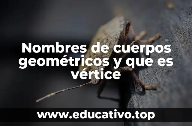 Nombres de cuerpos geométricos y que es vértice
