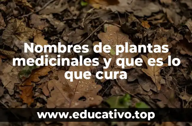 Nombres de plantas medicinales y que es lo que cura