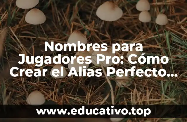 Nombres para Jugadores Pro: Cómo Crear el Alias Perfecto para tu Carrera en los Deportes