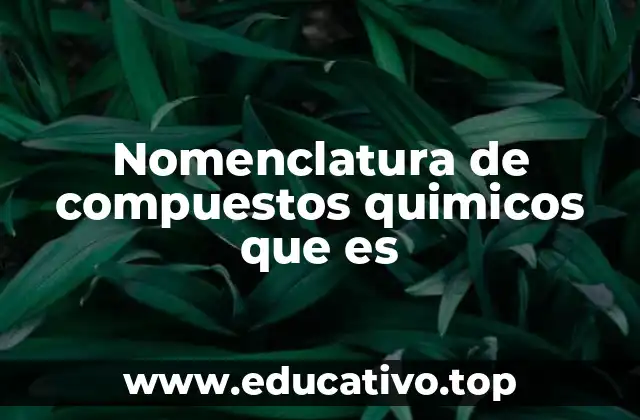 Nomenclatura de compuestos quimicos que es