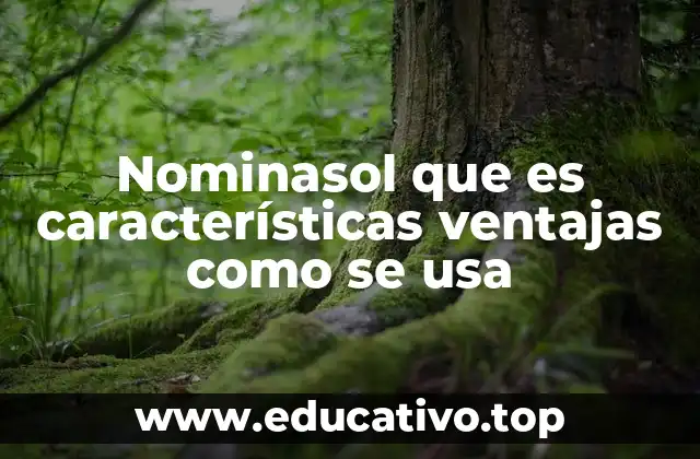 La importancia de automatizar el proceso de nómina