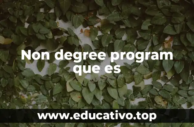 Non degree program que es