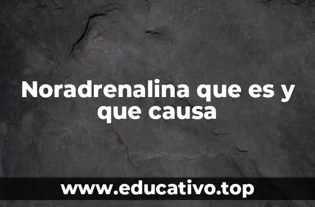 Noradrenalina que es y que causa