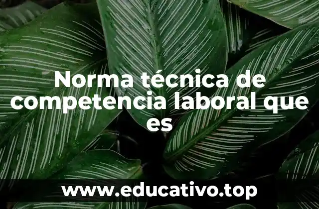 Norma técnica de competencia laboral que es