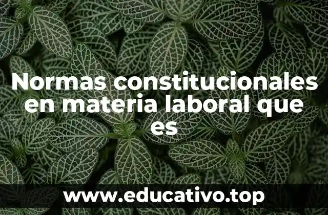 El marco legal que respalda las normas laborales