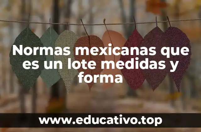 Normas mexicanas que es un lote medidas y forma