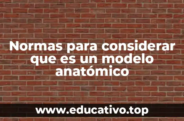 Normas para considerar que es un modelo anatómico