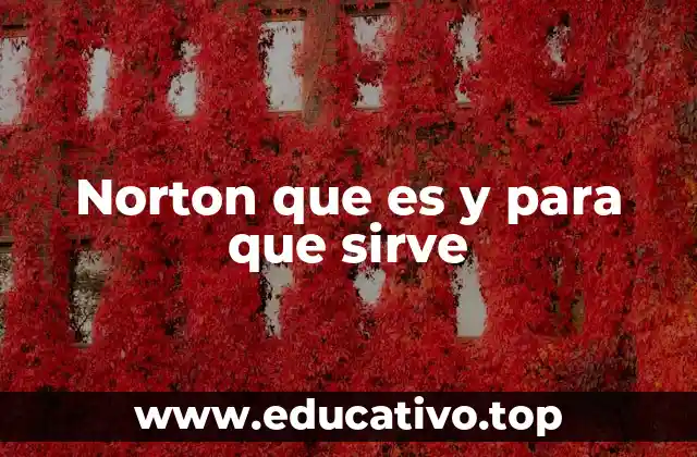 Norton que es y para que sirve