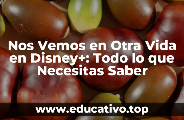 Nos Vemos en Otra Vida en Disney+: Todo lo que Necesitas Saber